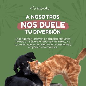 Image post by @tierradenando on Instagram