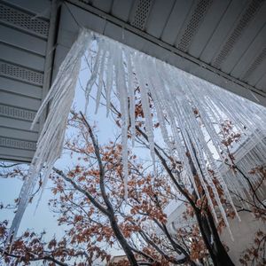 Image post by @foxweather on Instagram