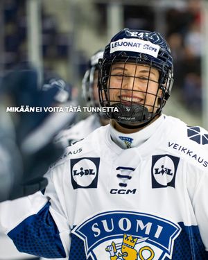 Image post by @leijonatfi on Instagram