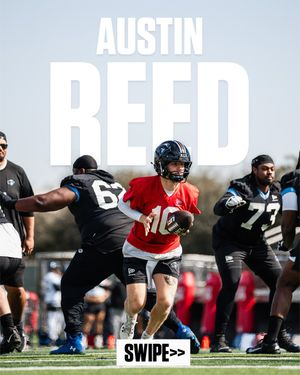 Image post by @uflrenegades on Instagram