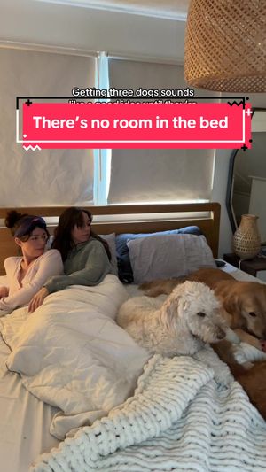 Video post by @allieandsam on TikTok