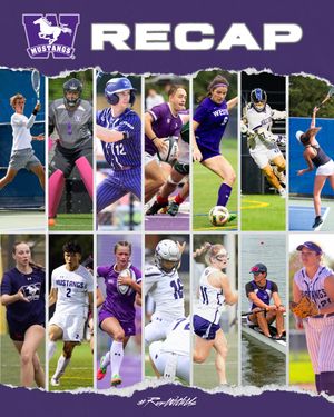 Image post by @westernmustangs on Instagram