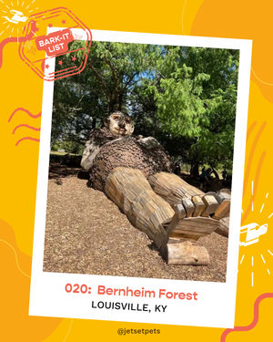 Image post by @jetsetpets on Instagram