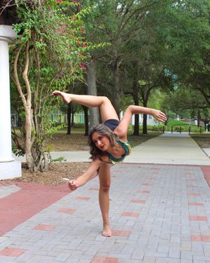 Image post by @usfsundolls on Instagram