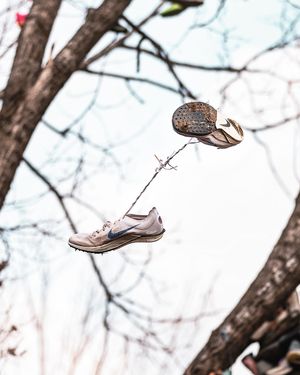 Image post by @dsn.pics on Instagram