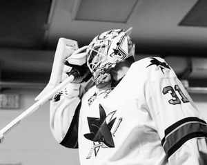 Image post by @sanjosesharks on Instagram