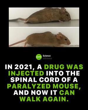 Image post by @science on Instagram