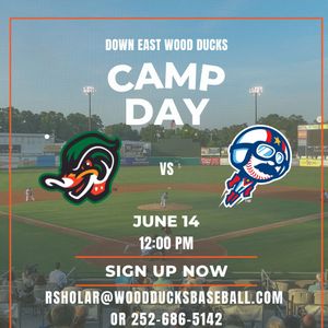 Image post by @gowoodducks on Instagram