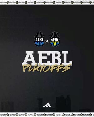 Image post by @aeblhoops on Instagram