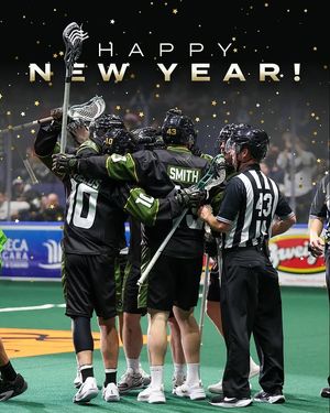 Image post by @rocknighthawks on Instagram