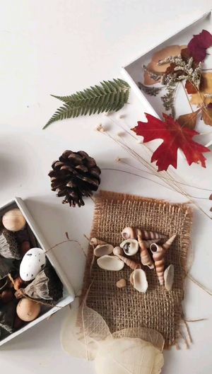 Video post by @leafyaffair on Instagram