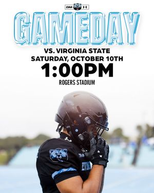 Image post by @bluebearathletics on Instagram