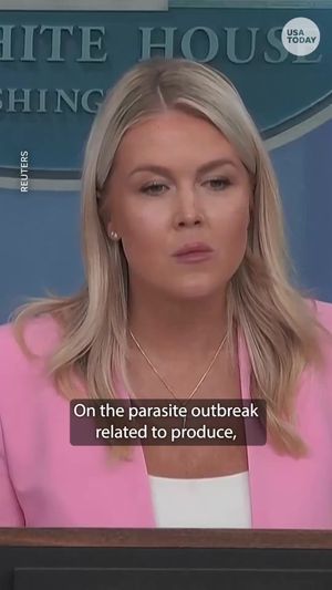 Video post by @usatoday on TikTok