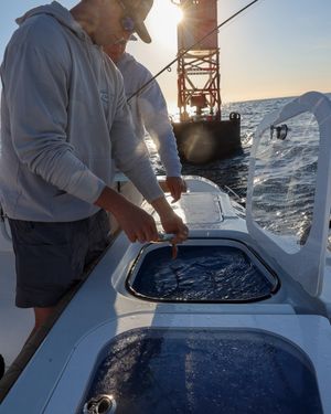 Image post by @freemanboatworks on Instagram