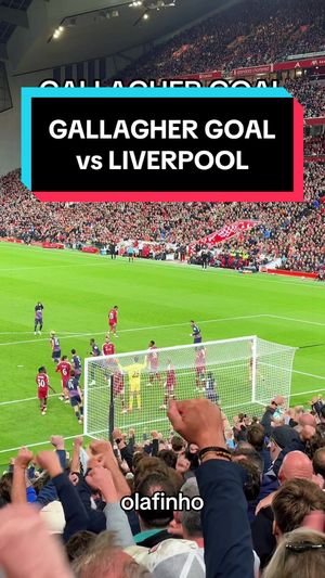 Video post by @olafinho_7 on TikTok