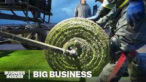 Video post by @businessinsider on YouTube