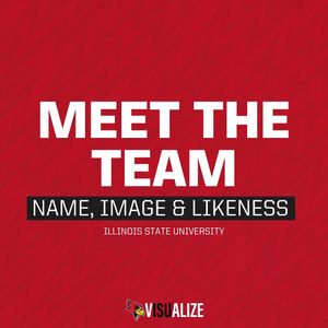 Image post by @visualizenil on Instagram