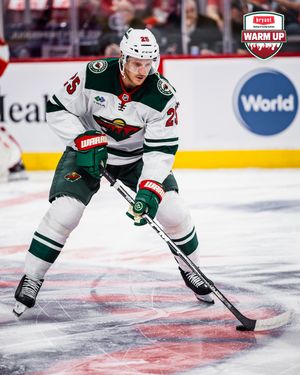 Image post by @minnesotawild on Instagram