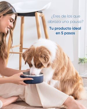Image post by @royalprestigeargoficial on Instagram