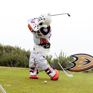 Image post by @anaheimducks on Instagram
