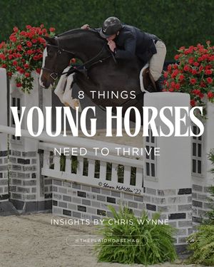 Image post by @theplaidhorsemag on Instagram