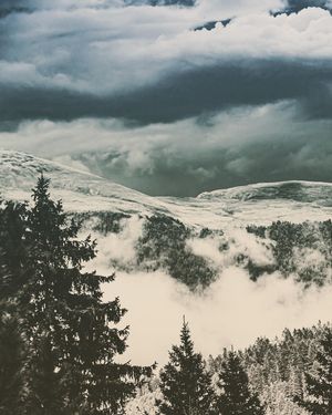 Image post by @cristan.nature.photography on Instagram