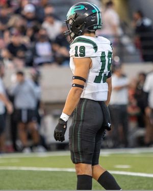 Image post by @bomongaras on Instagram