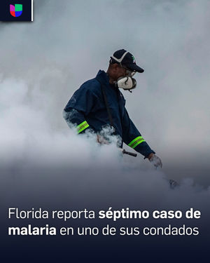 Image post by @univision23 on Instagram