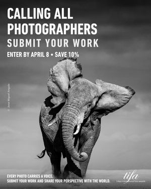 Image post by @tokyofotoawards on Instagram