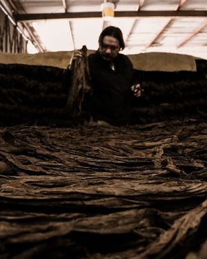 Image post by @manolo1910cigars on Instagram