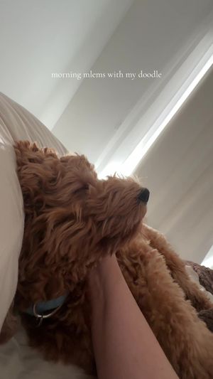 Video post by @tedflixnchill on TikTok
