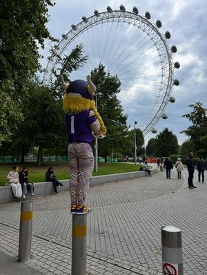 Image post by @viktortheviking on Instagram