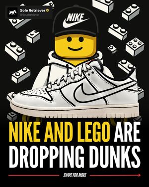 Image post by @soleretriever on Instagram