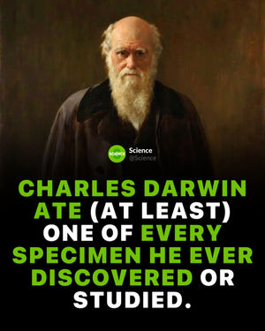 Image post by @science on Instagram