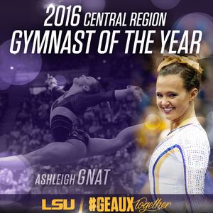 Image post by @lsugym on Instagram