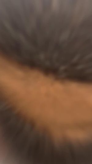 Video post by @Hazel Elaine Grooming on Facebook