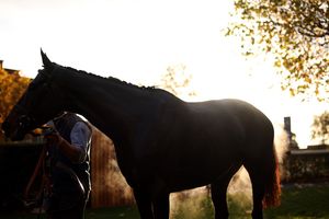 Image post by @ascotracecourse on Instagram