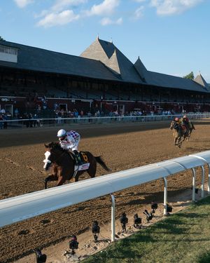Image post by @coolmoreamerica on Instagram