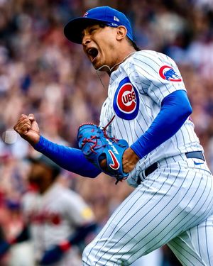 Image post by @cachorros on Instagram