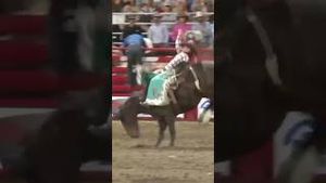 Video post by @officialcowboychannel on YouTube