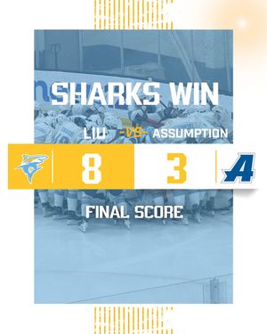 Image post by @liumhockey on Instagram