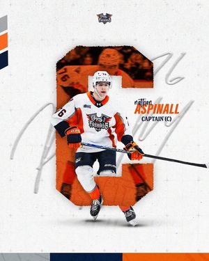 Image post by @flintfirebirds on Instagram