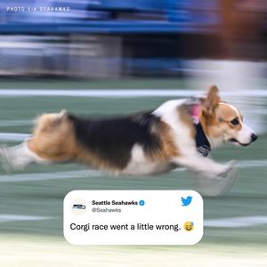 Image post by @nfl on Instagram