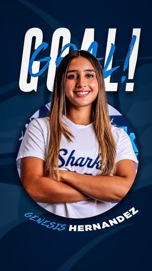 Image post by @NSU_WSoccer on Twitter