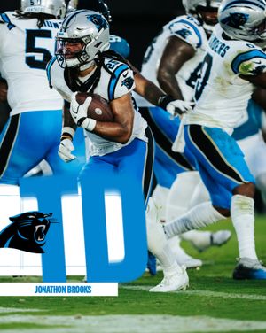 Image post by @panthers on Instagram