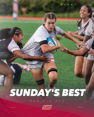 Image post by @shubigred on Instagram
