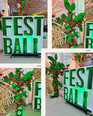 Image post by @baloesfestball on Instagram