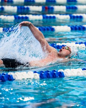 Image post by @smuswimdivem on Instagram