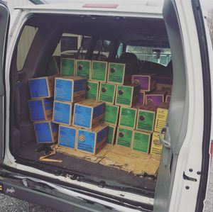 Image post by @annabellescurse on Instagram