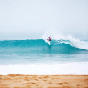 Image post by @Roxy on Twitter